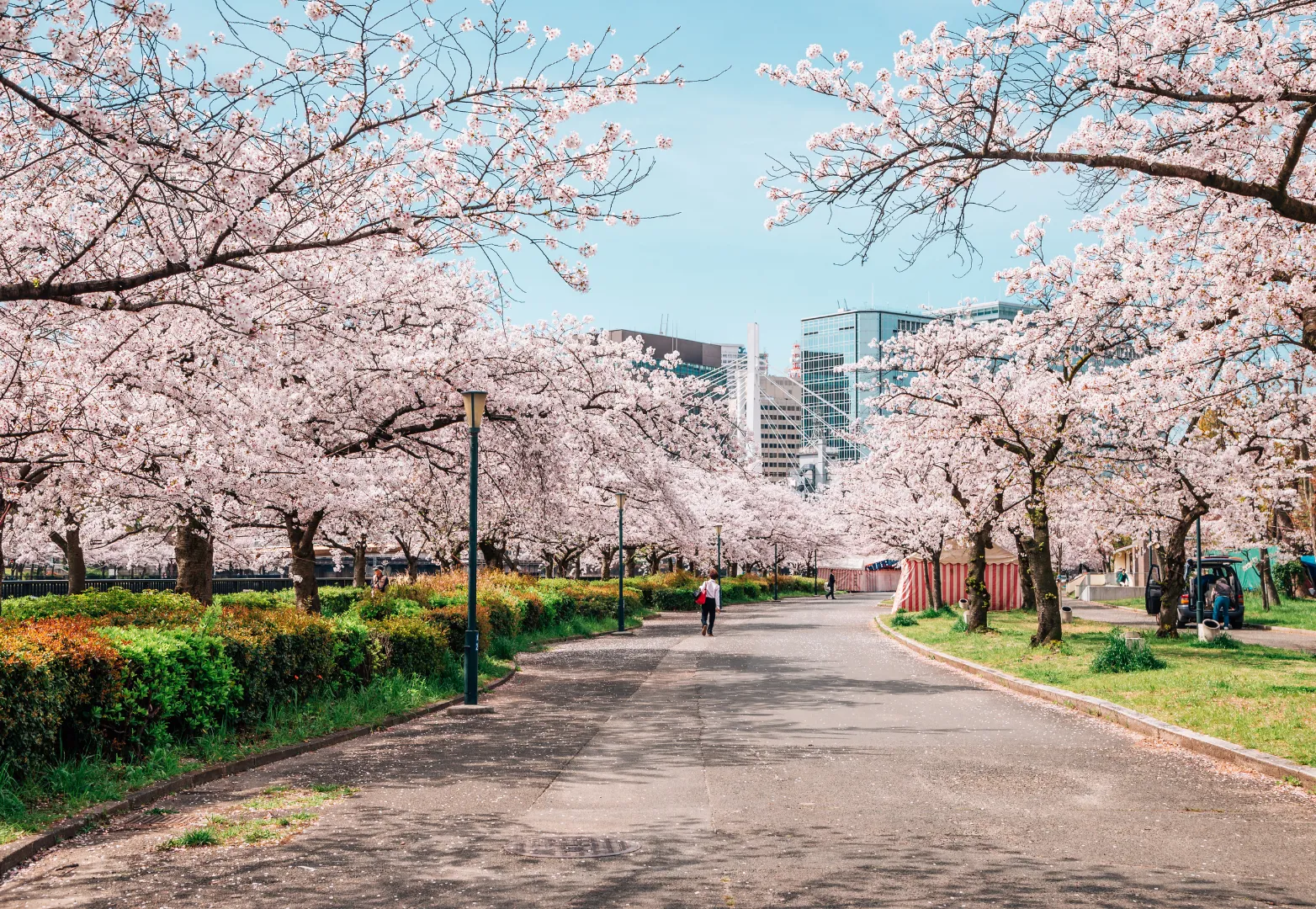 22. สวนเคมะซากุระโนะมิยะ (Kema Sakuranomiya Park)
