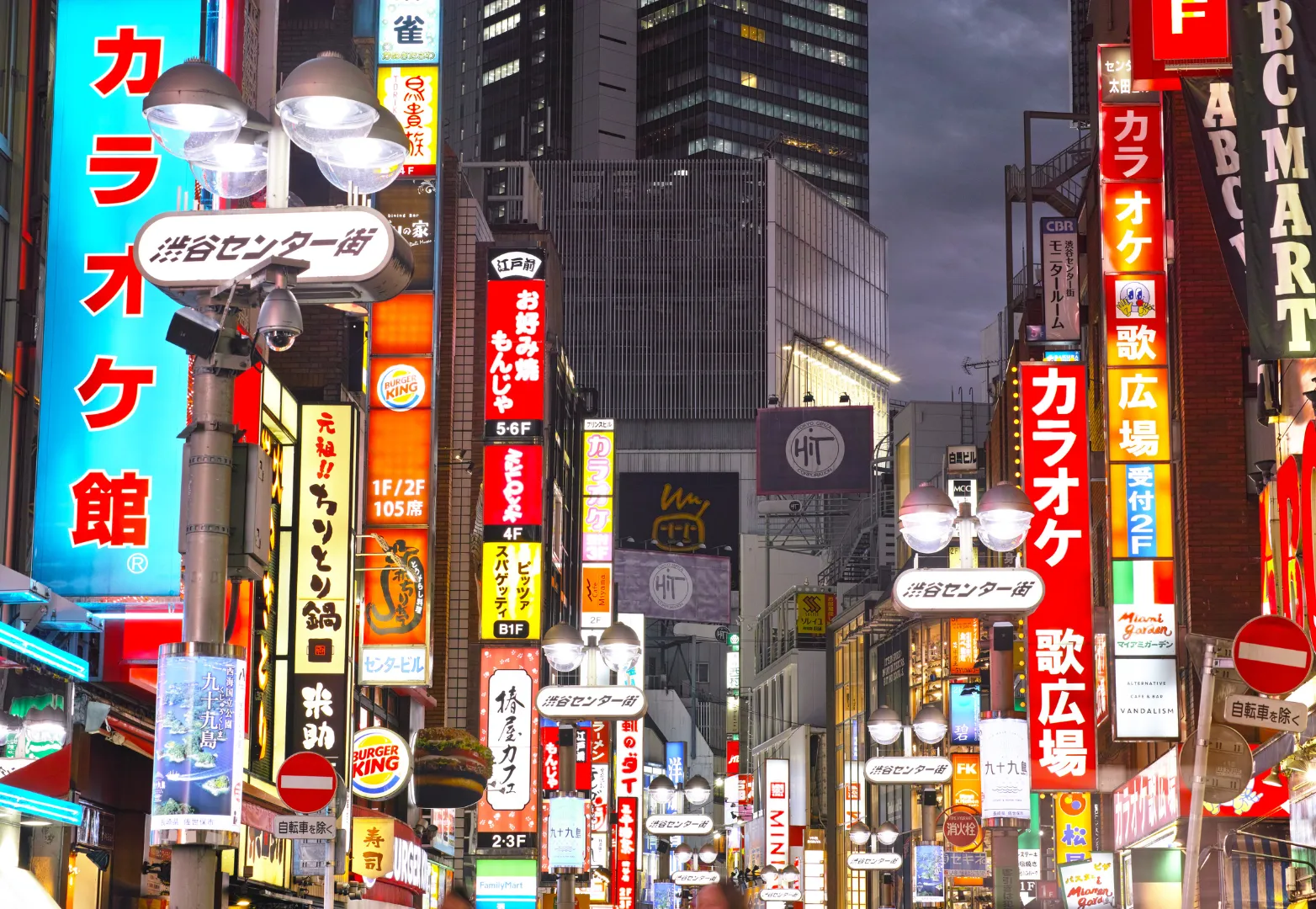 10. ตรอกโฮเซนจิ โยโคโช (Hozenji Yokocho)