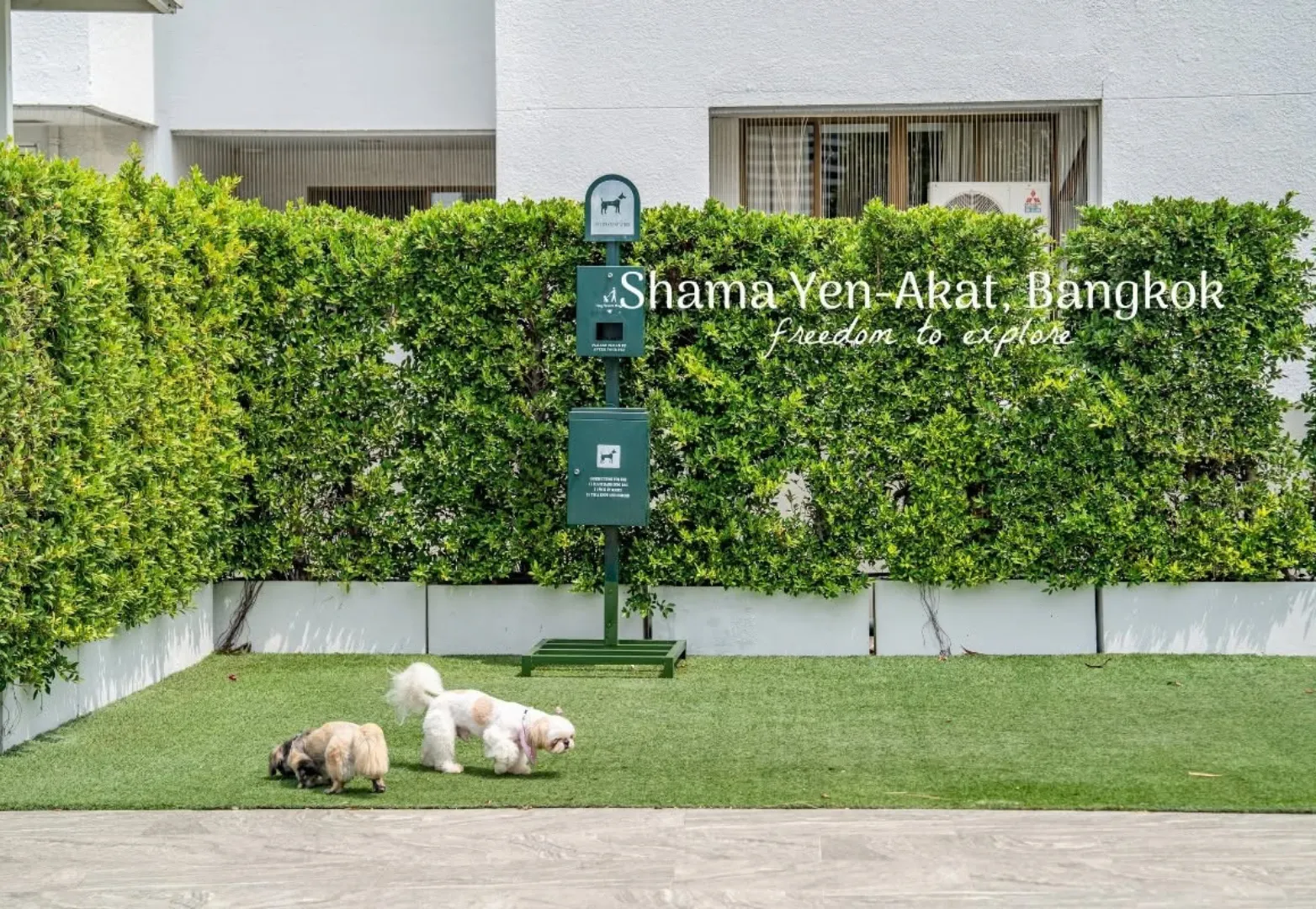 6. Shama Yen-Akat Bangkok (ชามา เย็นอากาศ กรุงเทพฯ)
