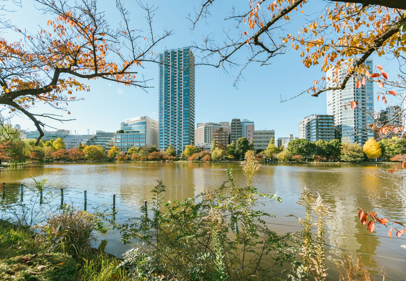16. สวนอุเอโนะ (Ueno Park)