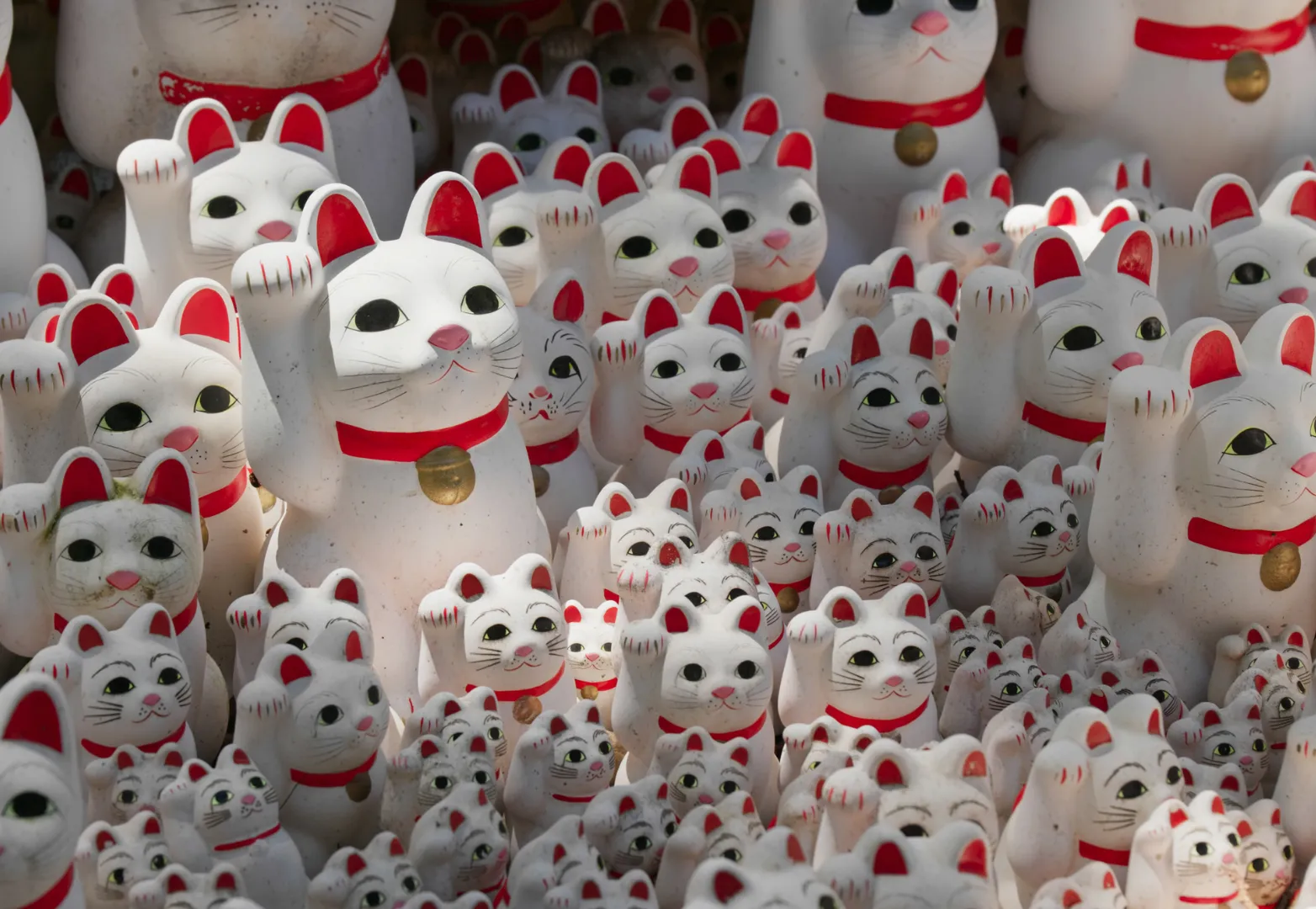 39. วัดโกโตคุจิ (Gotokuji Temple)