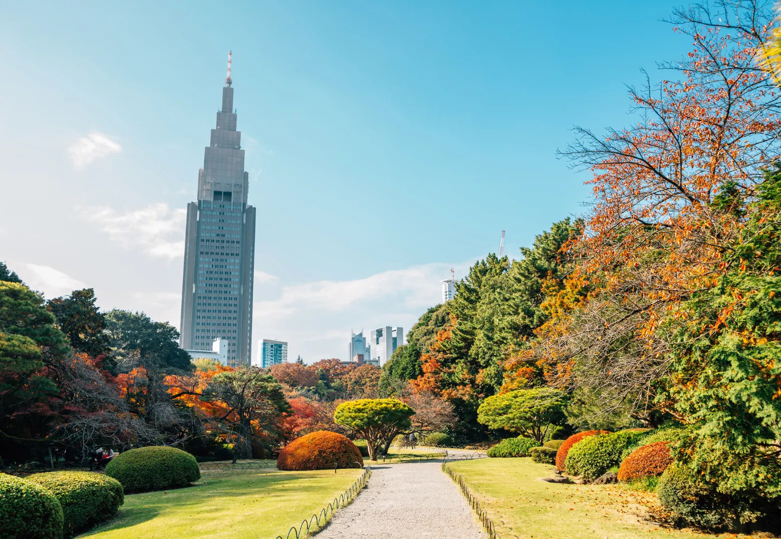 8. สวนชินจูกุเกียวเอน (Shinjuku Gyoen National Garden)