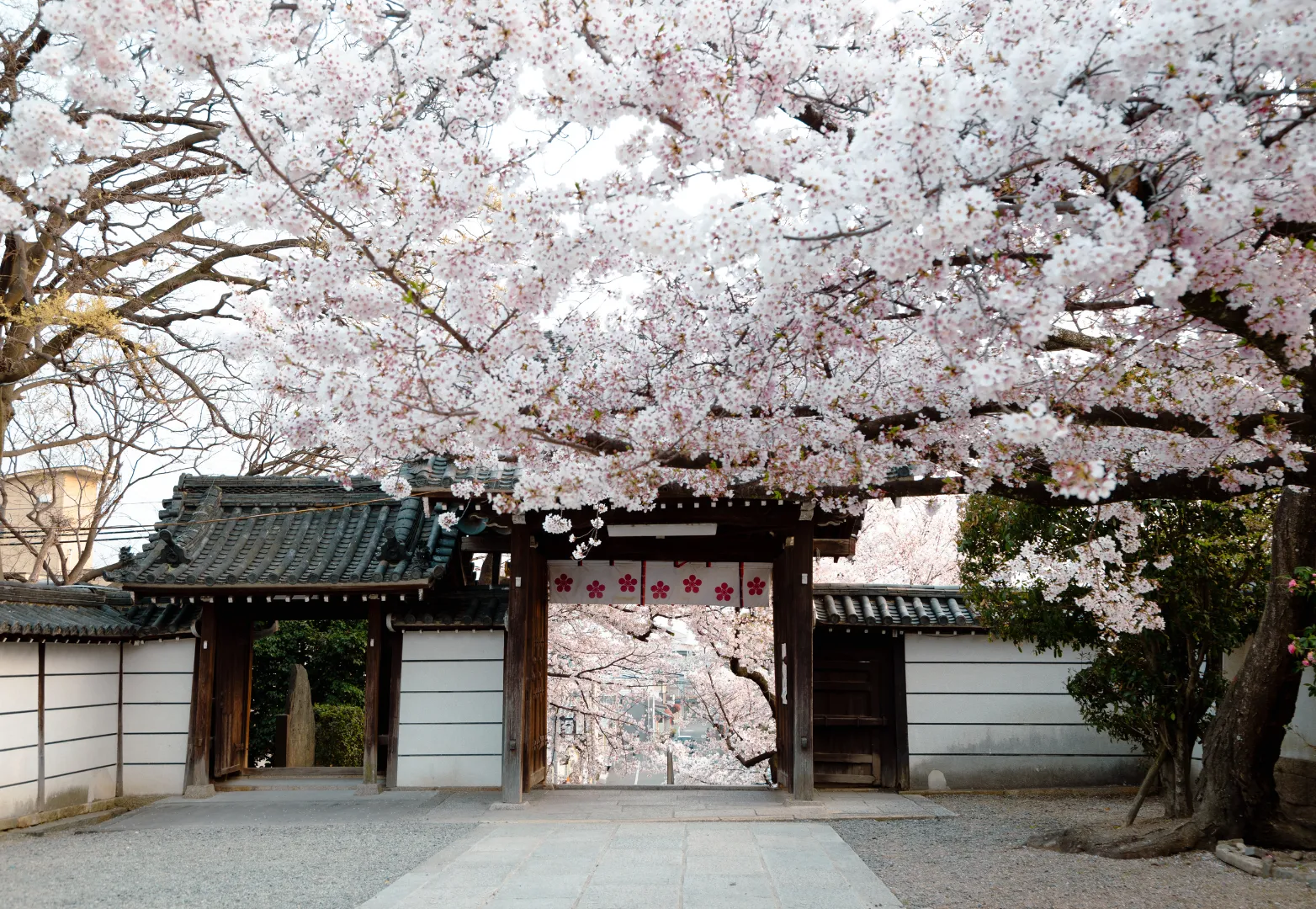 18. ศาลเจ้าโอซาก้าเทมมังกุ (Osaka Tenmangu Shrine)