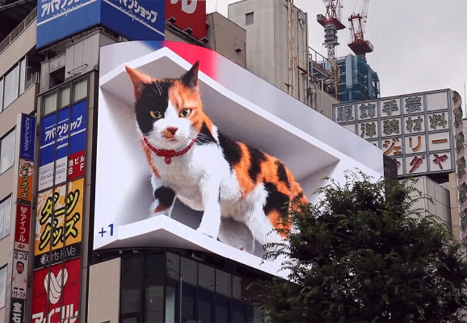 12. แมวสามมิติ ชินจูกุ (Cross Shinjuku Vision - 3D Cat)