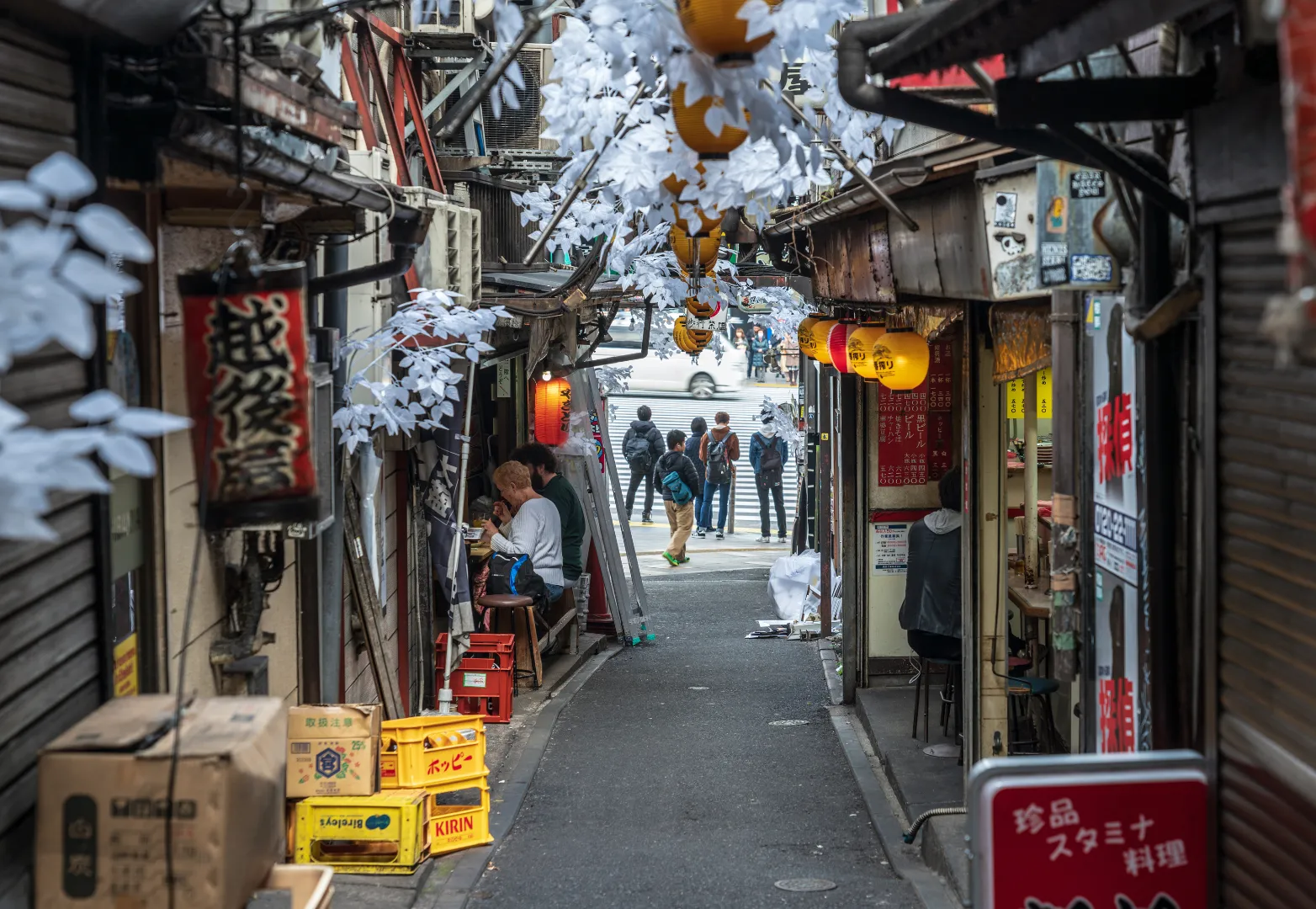 11. ตรอกโอโมอิเดะ โยโกโช (Omoide Yokocho)