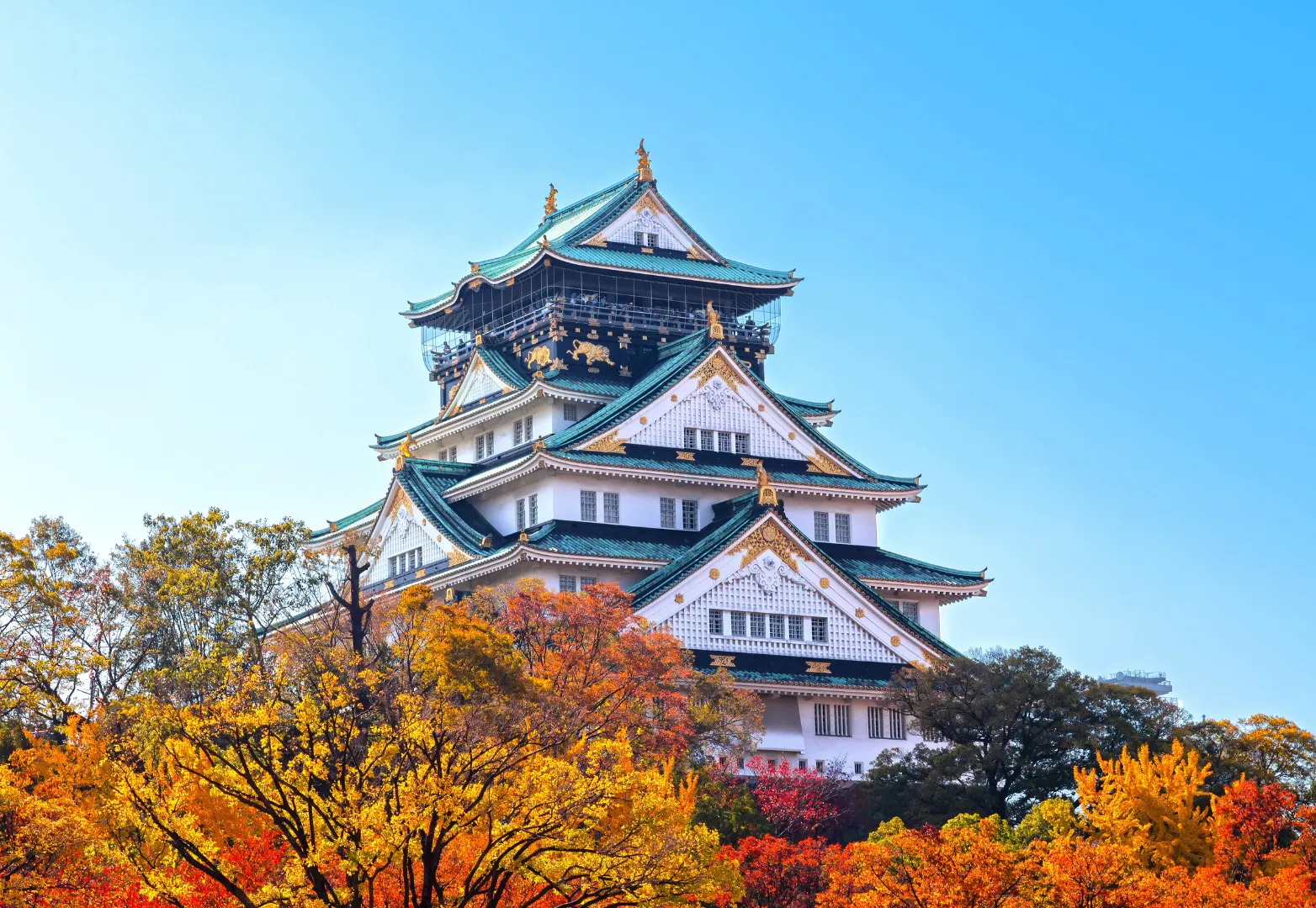 ปราสาทโอซาก้า (Osaka Castle)