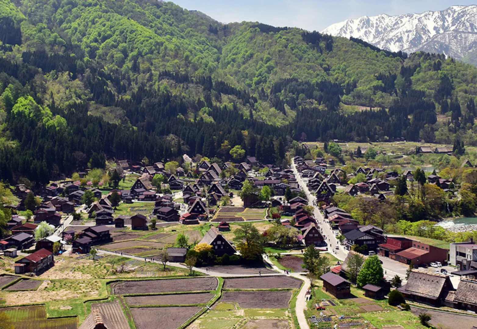 หมู่บ้านชิราคาวาโกะ (Shirakawa-go)