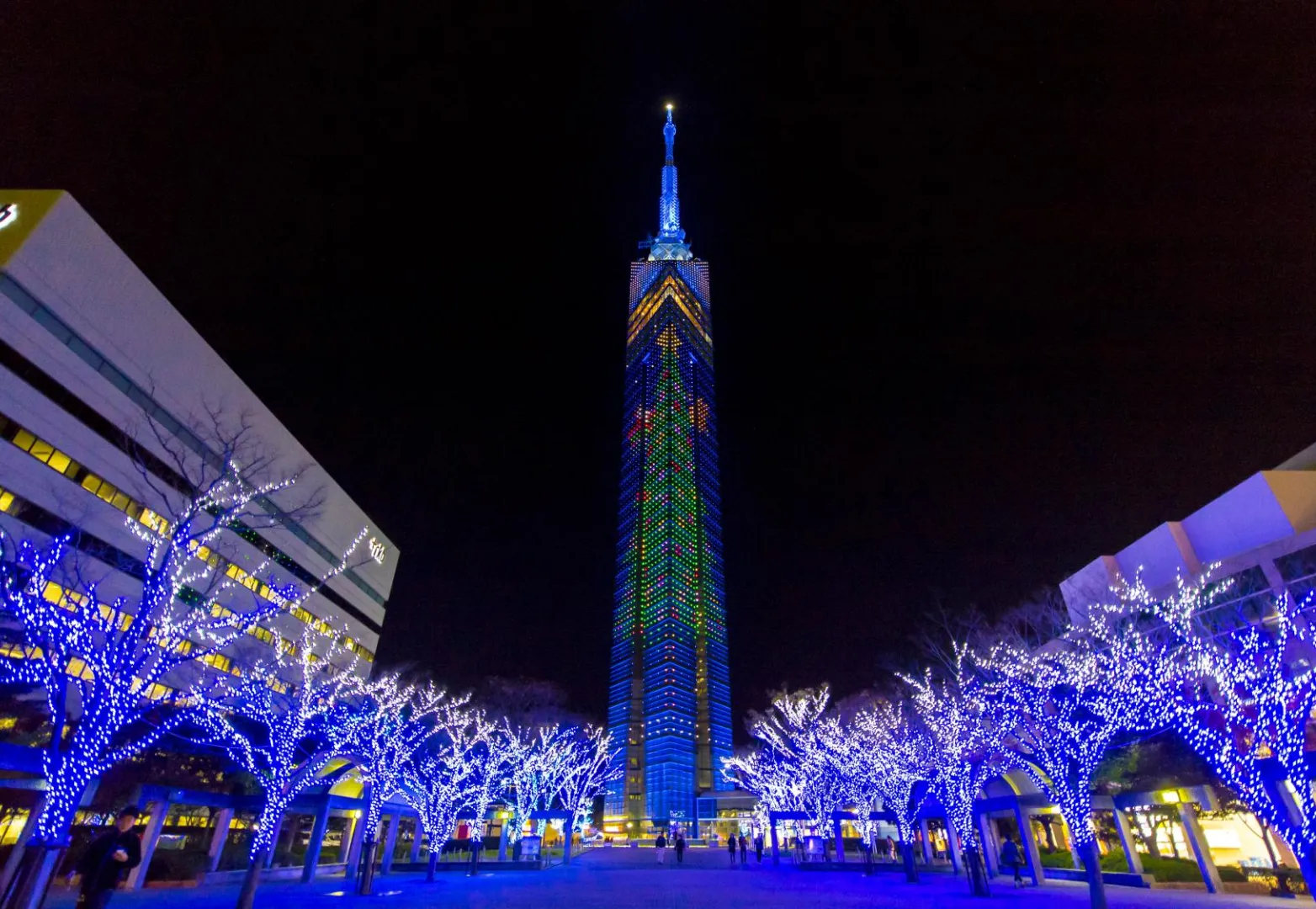 ฟุกุโอกะทาวเวอร์ (Fukuoka Tower)