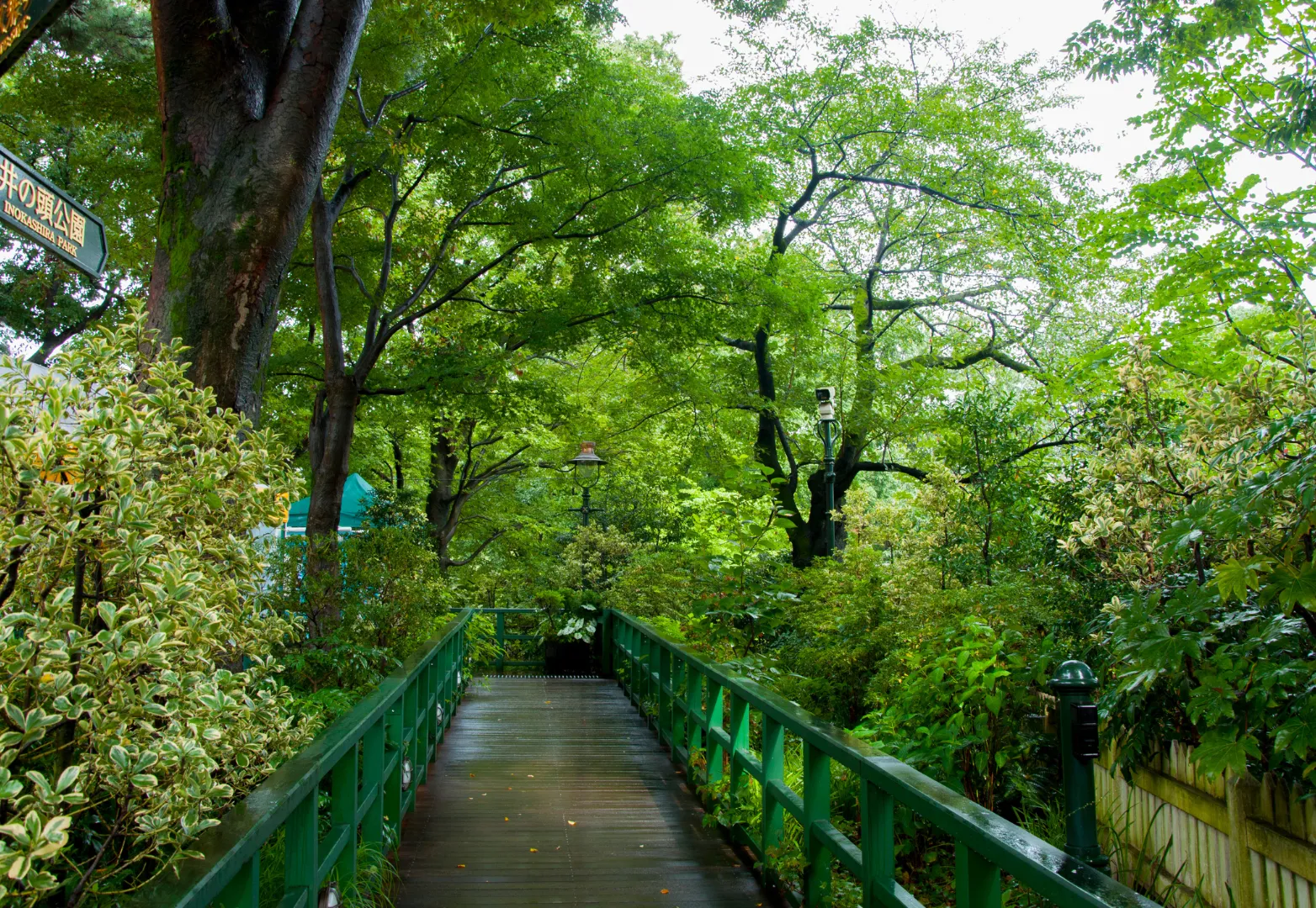 36. พิพิธภัณฑ์จิบลิ (Ghibli Museum)