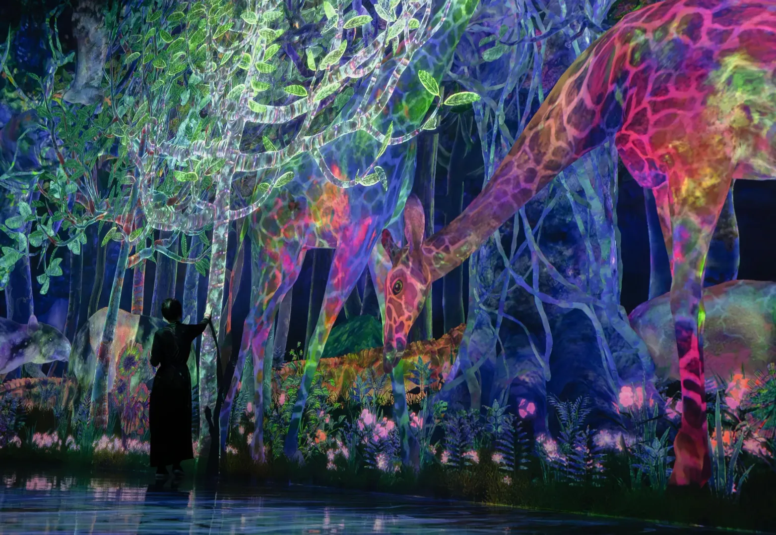ทีมแล็บ แพลเน็ตส์ โตเกียว (teamLab Planets TOKYO)