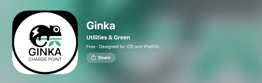 9. GINKA Charge Point
