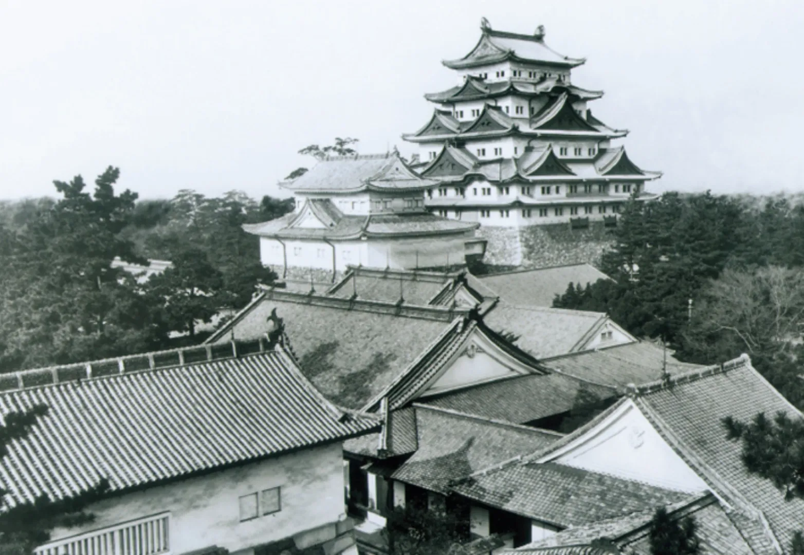 ปราสาทนาโกย่า (Nagoya Castle)