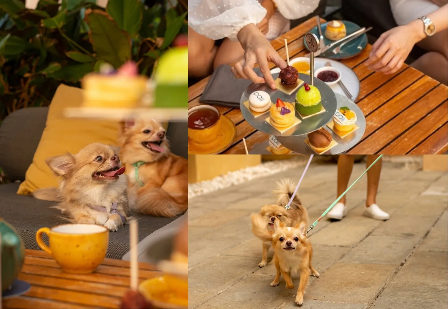 2. W Bangkok (ดับเบิ้ลยู กรุงเทพ)