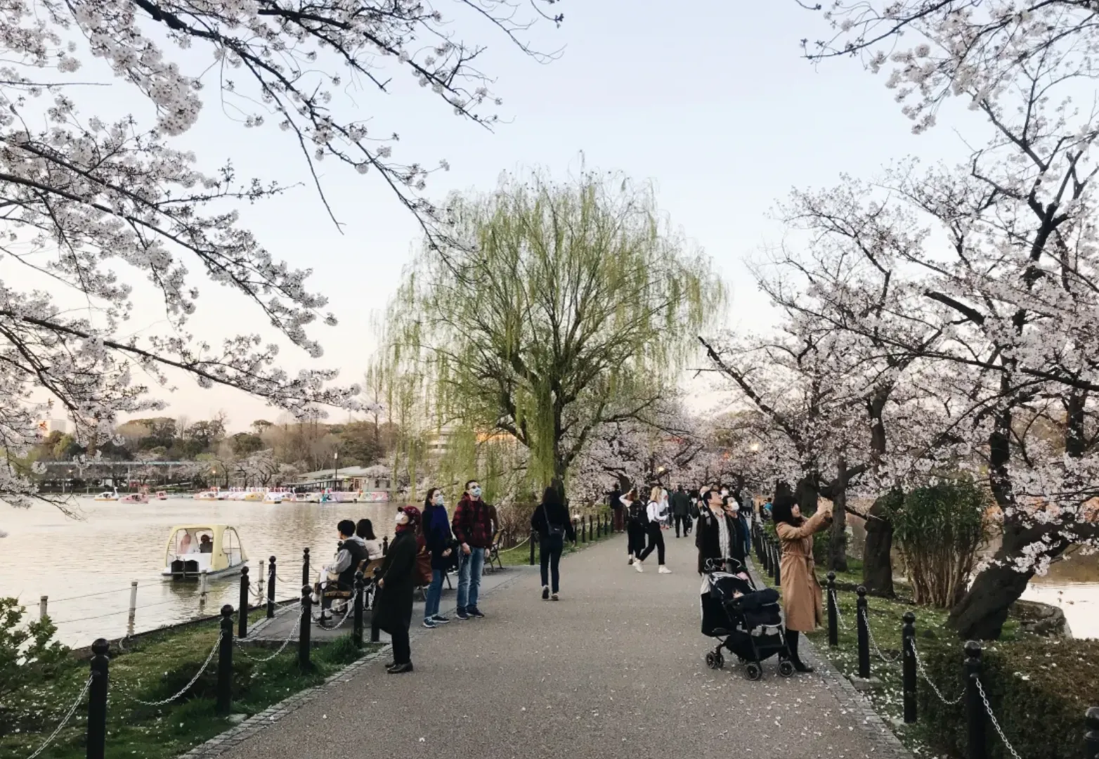 สวนอุเอโนะ (Ueno Park)