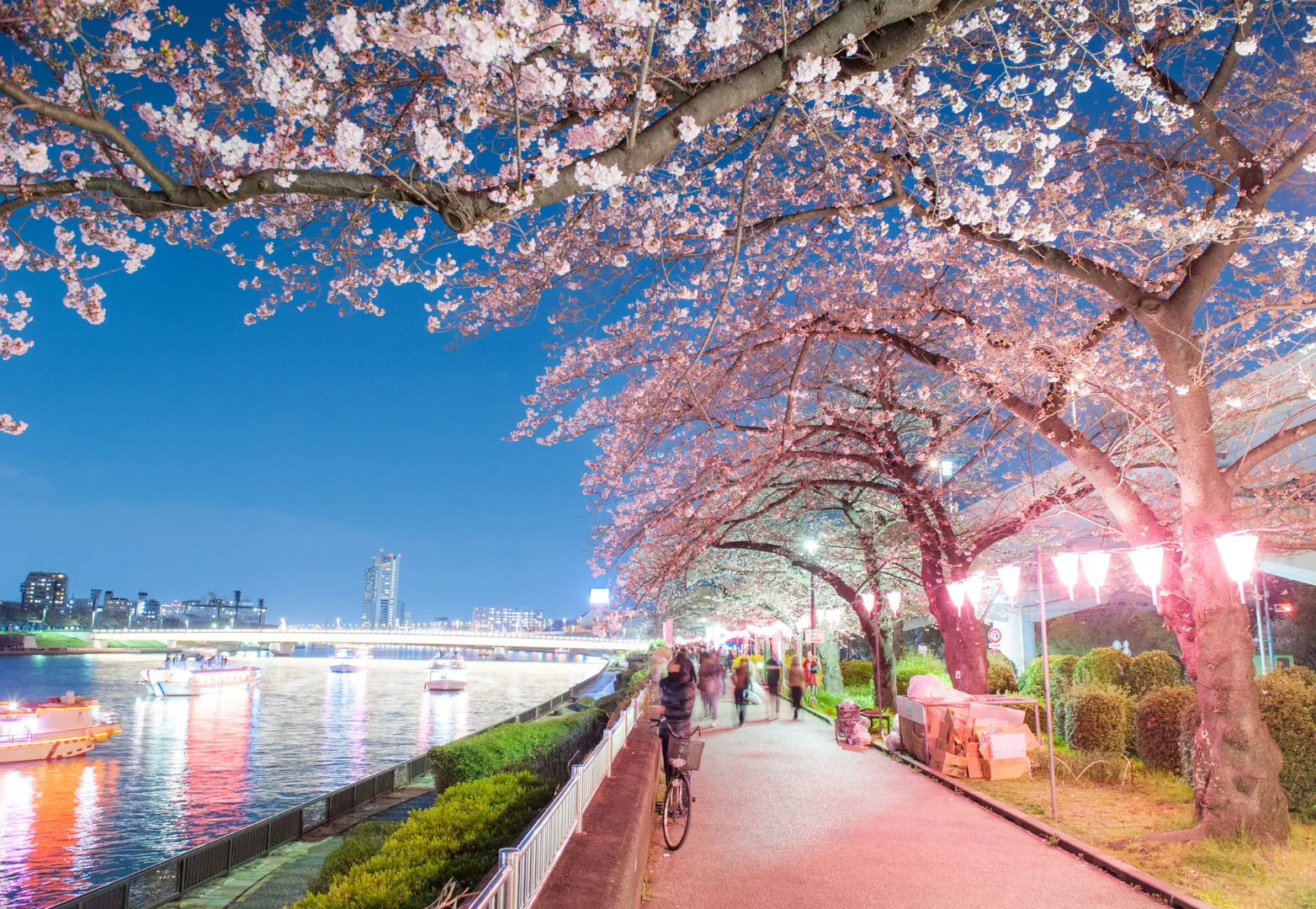 15. สวนสุมิดะ (Sumida Park)