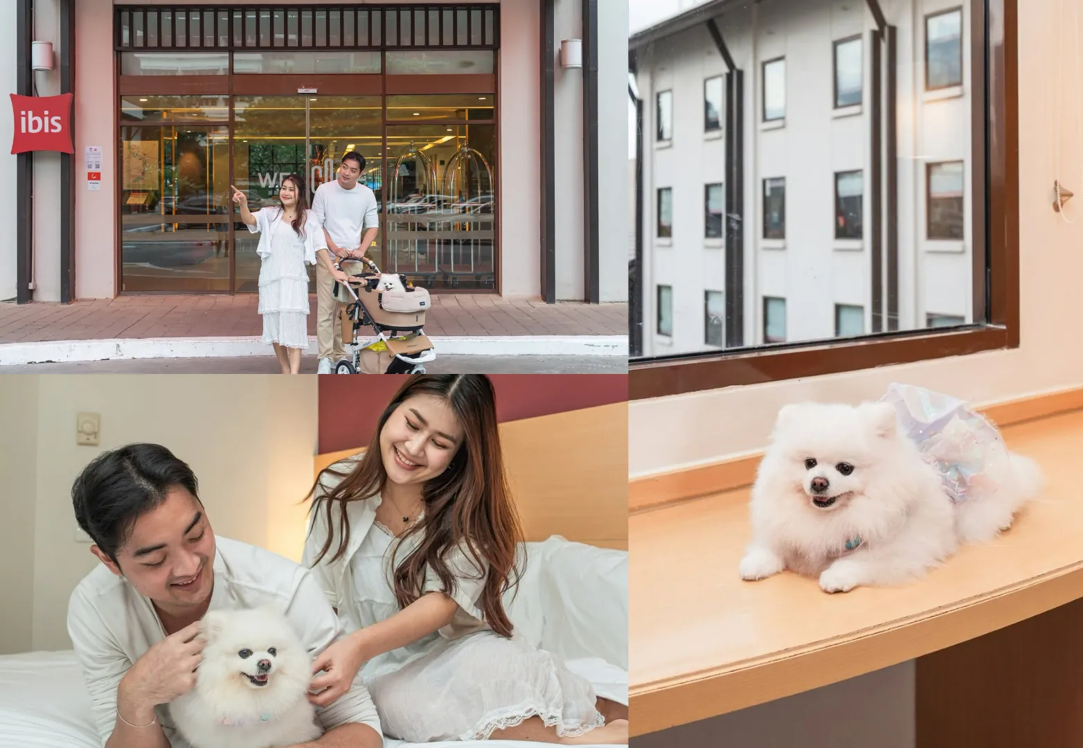 7. Ibis Bangkok Riverside (ไอบิส กรุงเทพ ริเวอร์ไซด์)