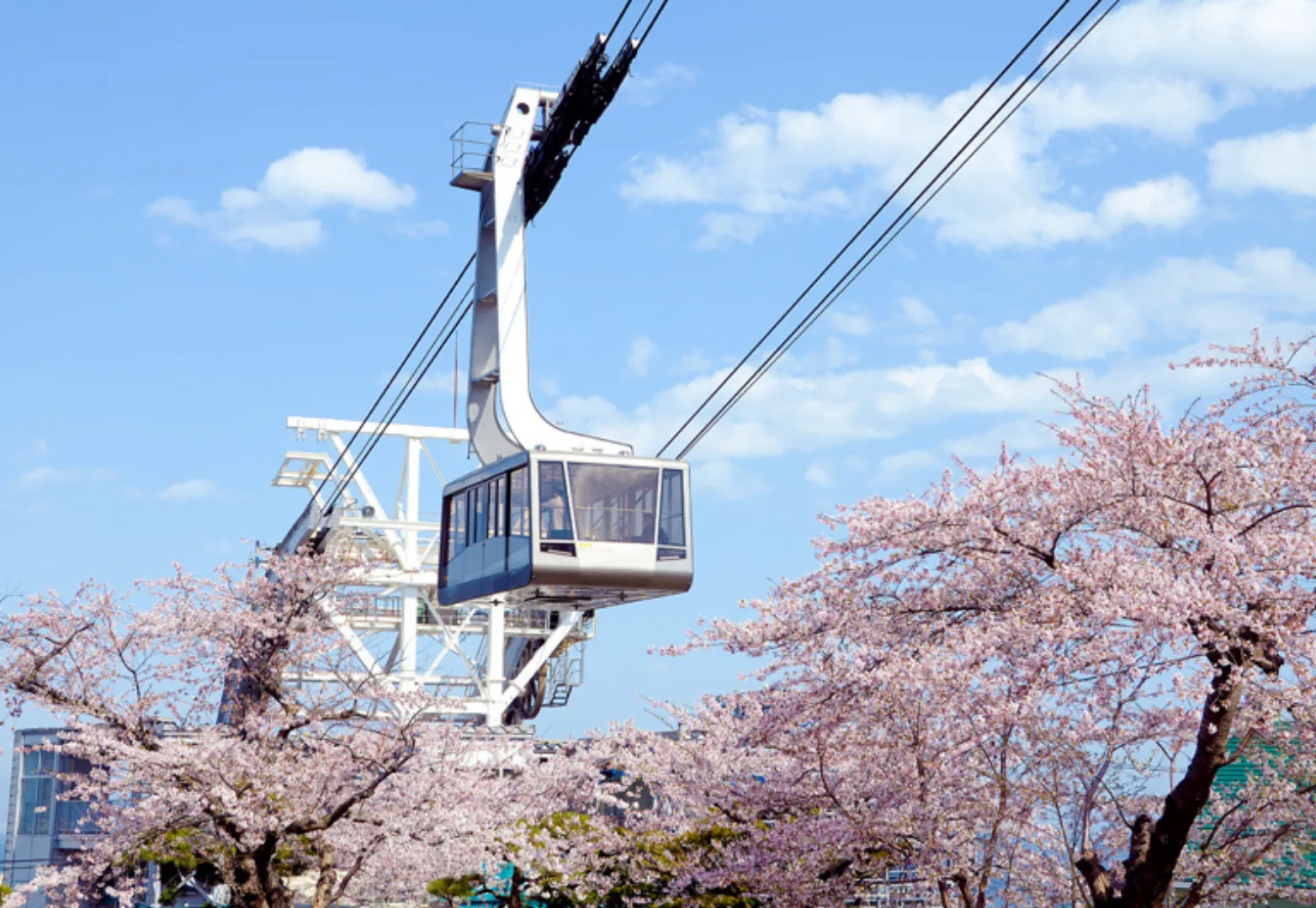 จุดชมวิวเขาฮาโกดาเตะ (Mt. Hakodate Ropeway)